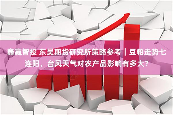 鑫赢智投 东吴期货研究所策略参考｜豆粕走势七连阳，台风天气对农产品影响有多大？