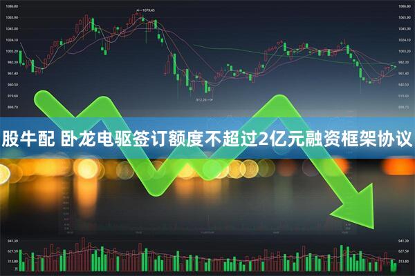 股牛配 卧龙电驱签订额度不超过2亿元融资框架协议