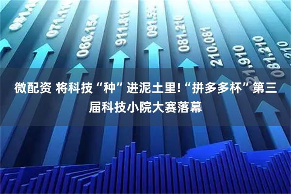 微配资 将科技“种”进泥土里!“拼多多杯”第三届科技小院大赛落幕